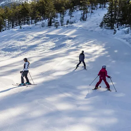 Vradal Ferieleiligheter Appartamento