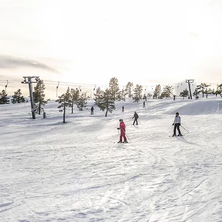 Vrådal Ferieleiligheter
