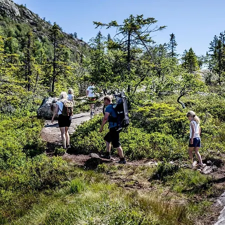 Vrådal Ferieleiligheter Vrådal