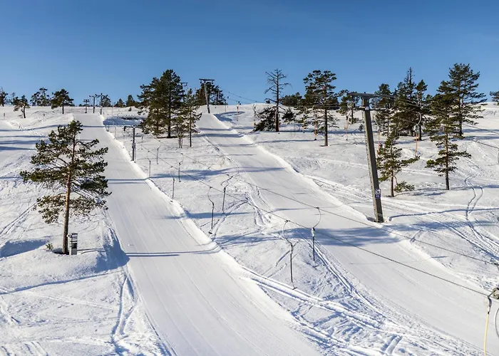 Vradal Ferieleiligheter 아파트 브라달