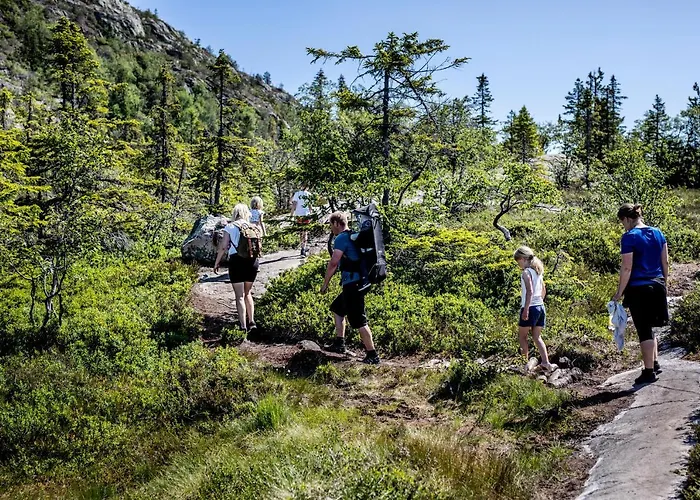 Vradal Ferieleiligheter 브라달