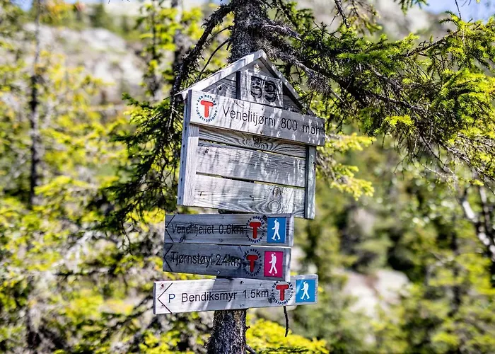 Vradal Ferieleiligheter 아파트 브라달