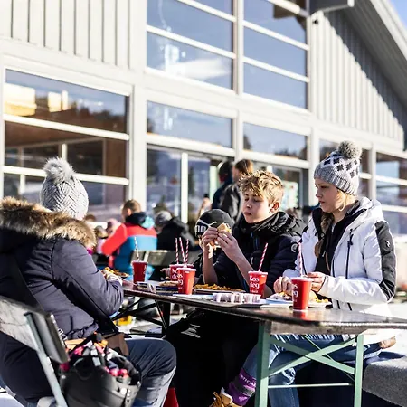 Vradal Ferieleiligheter *