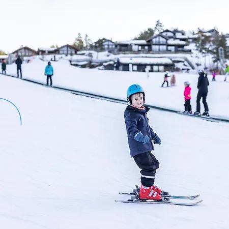 Vradal Ferieleiligheter דירה *